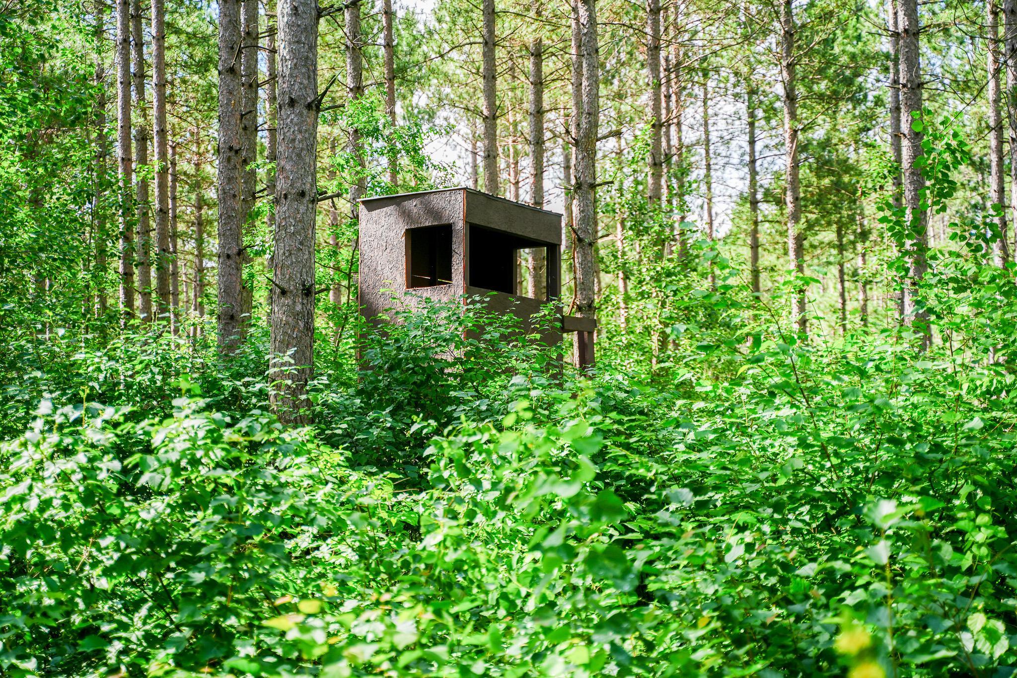 Deer stand 6