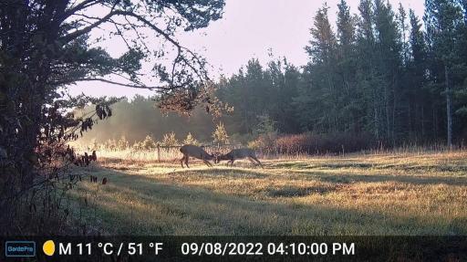 28391 County 109, Menahga, MN 56464