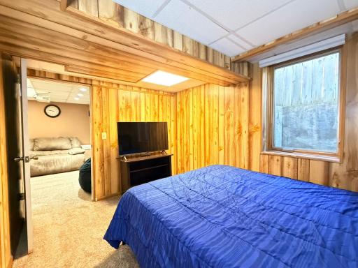 Lower Level Bedroom