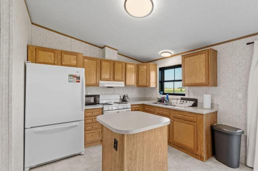46445 250th Street, Gaylord, MN 55334