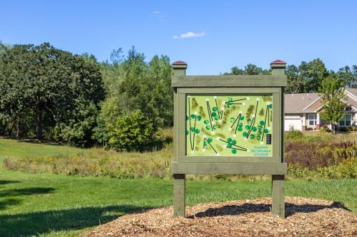 Disc Golf Course