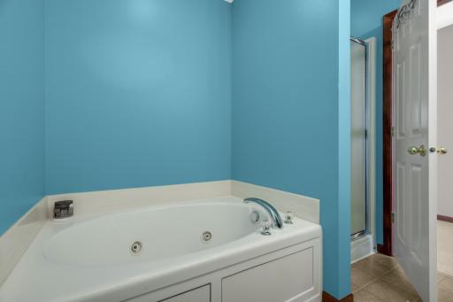 13907 Jasper Street NW, Ramsey, MN 55303