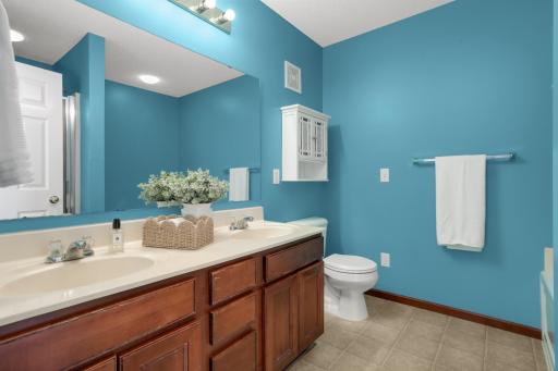 13907 Jasper Street NW, Ramsey, MN 55303