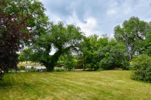 DSC_5544.jpg