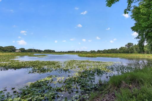 The property backs up to this amazing area! Community benches and picnic tables are there to enjoy the beauty and to experience nature right before your eyes.