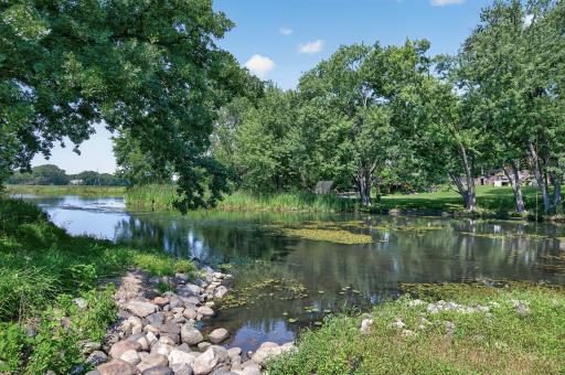 Appreciate nature right in your back yard.