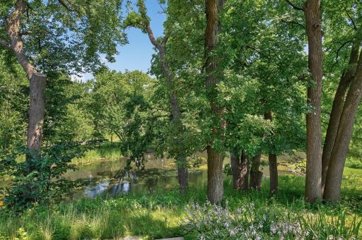 Tranquil view from # 209's screened in porch! So much to enjoy! Deer, fox, eagles, birds, and much more!