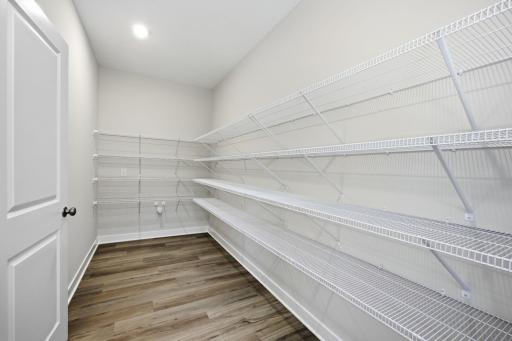 The extraordinary 15' x 6' walk-in pantry provides ample space for storage, organization, and convenient meal preparation.