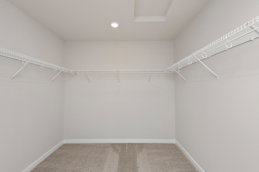 Hayes Main Closet 1 L.png