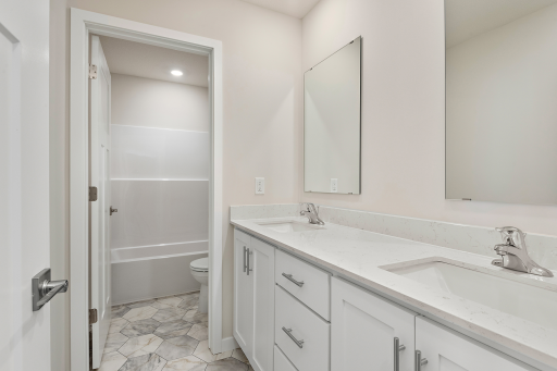 Hayes Bathroom 2 L.png
