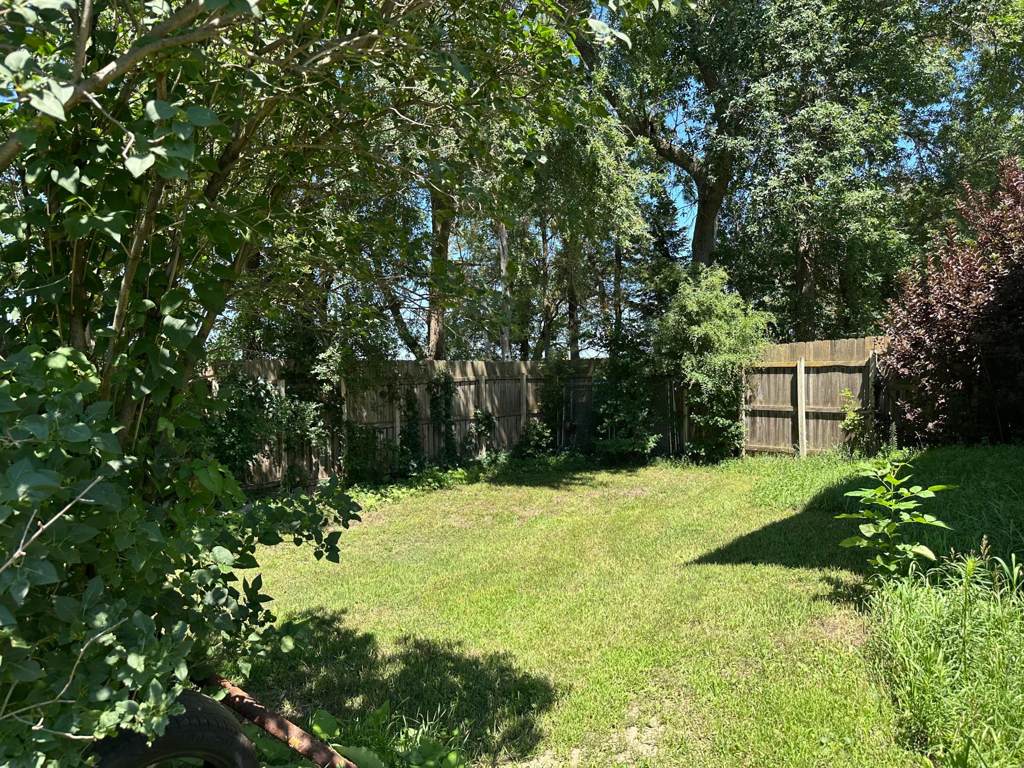 Backyard