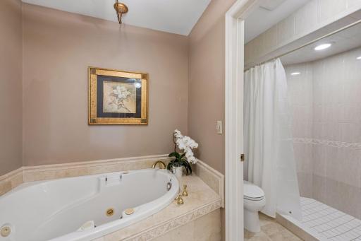 18864 Heathcote Drive, Wayzata, MN 55391
