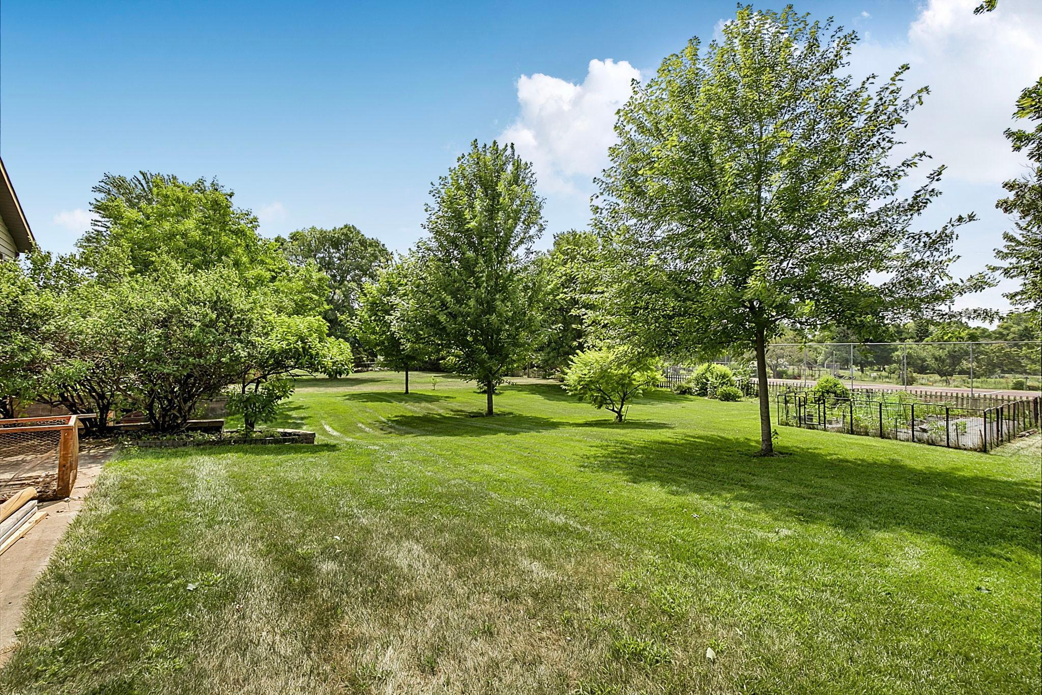 Amazing Lawn with Sprinkler System