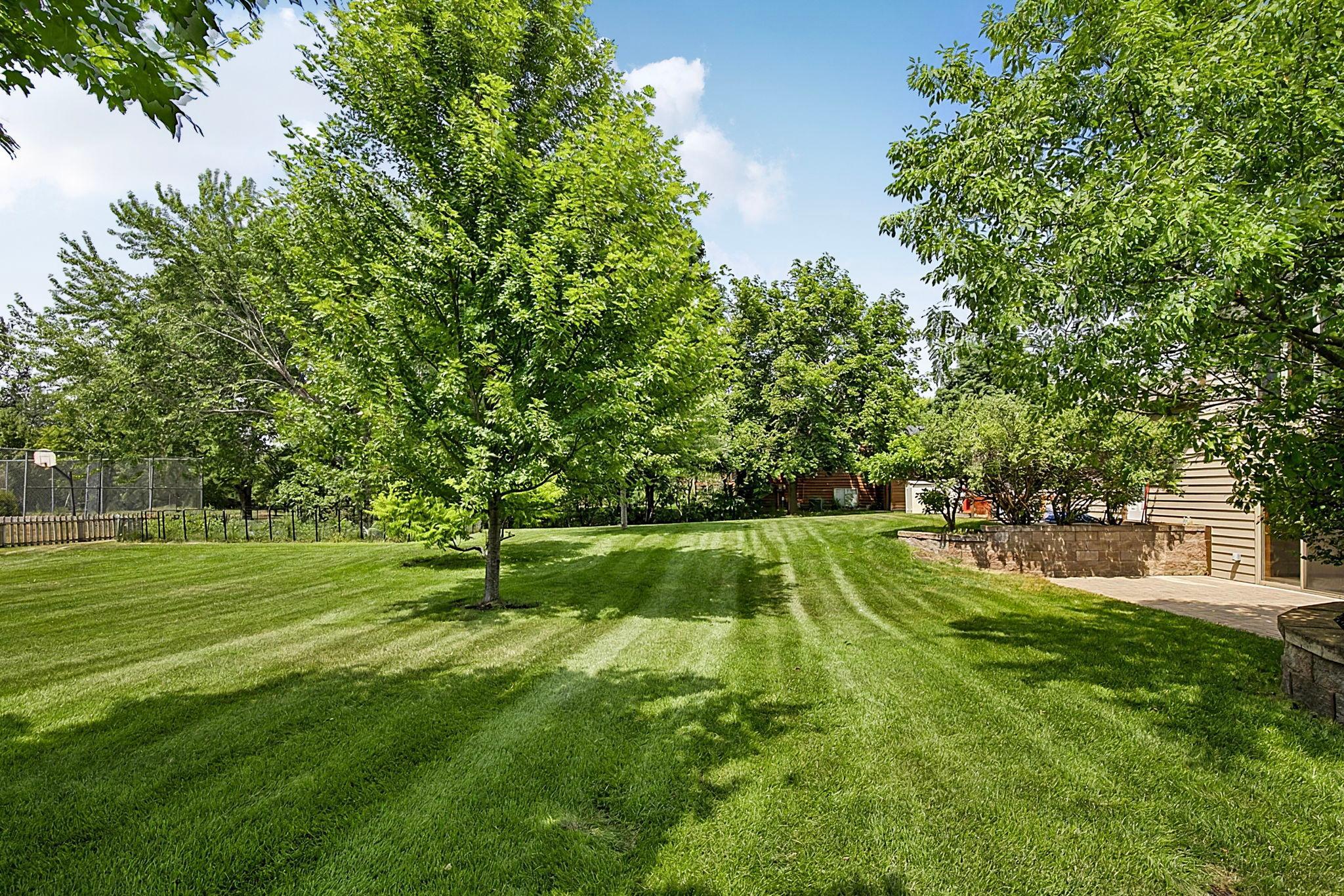 Beautiful Mature Trees