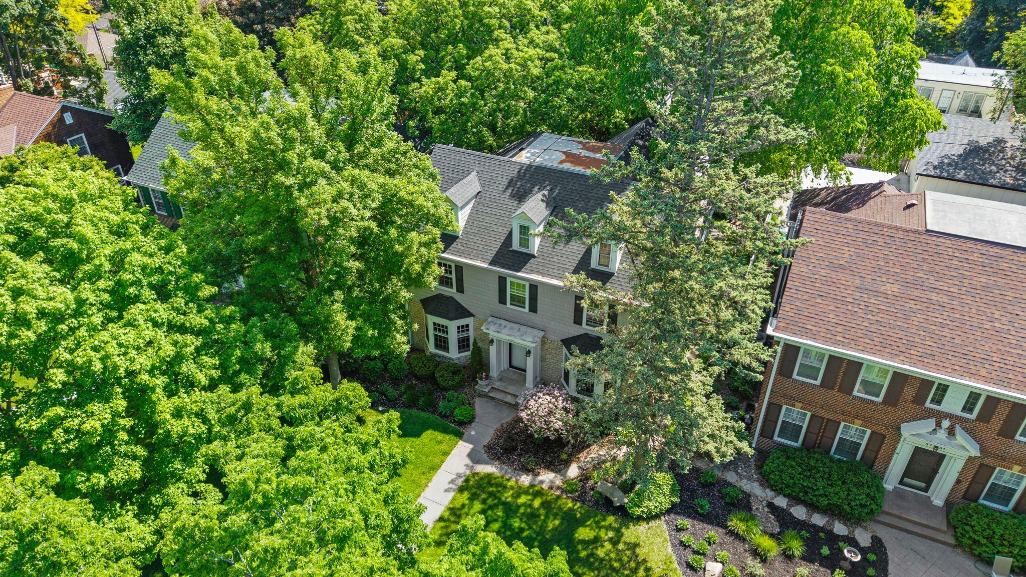 Drone view