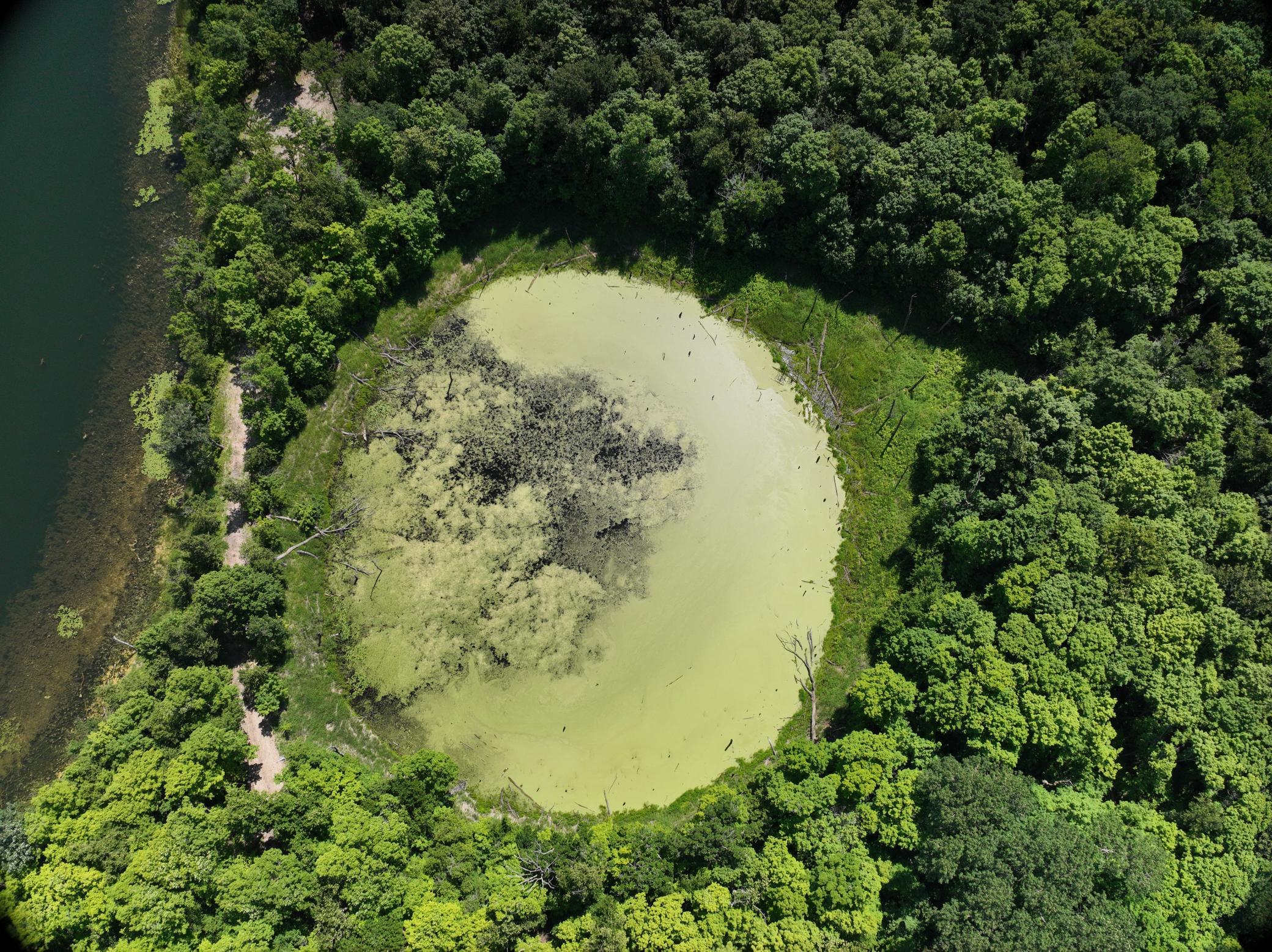 DJI_20260711115538_0009_D.JPG