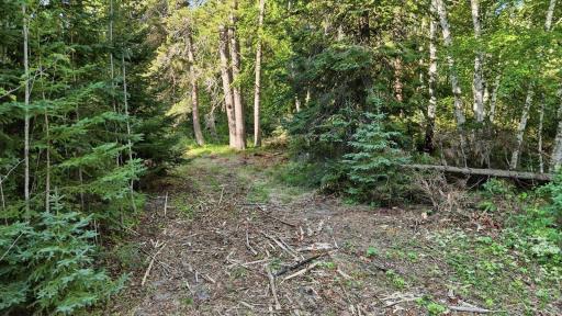 34488 Clearwater Road, Grand Rapids, MN 55744