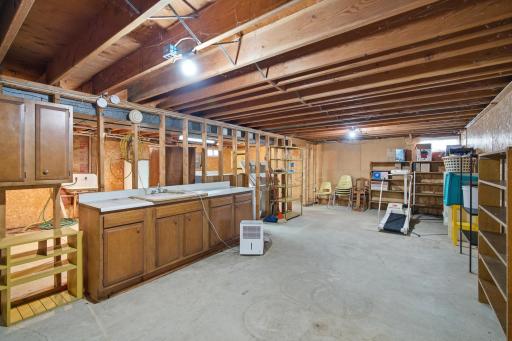 14771 295th Avenue, Waseca, MN 56093