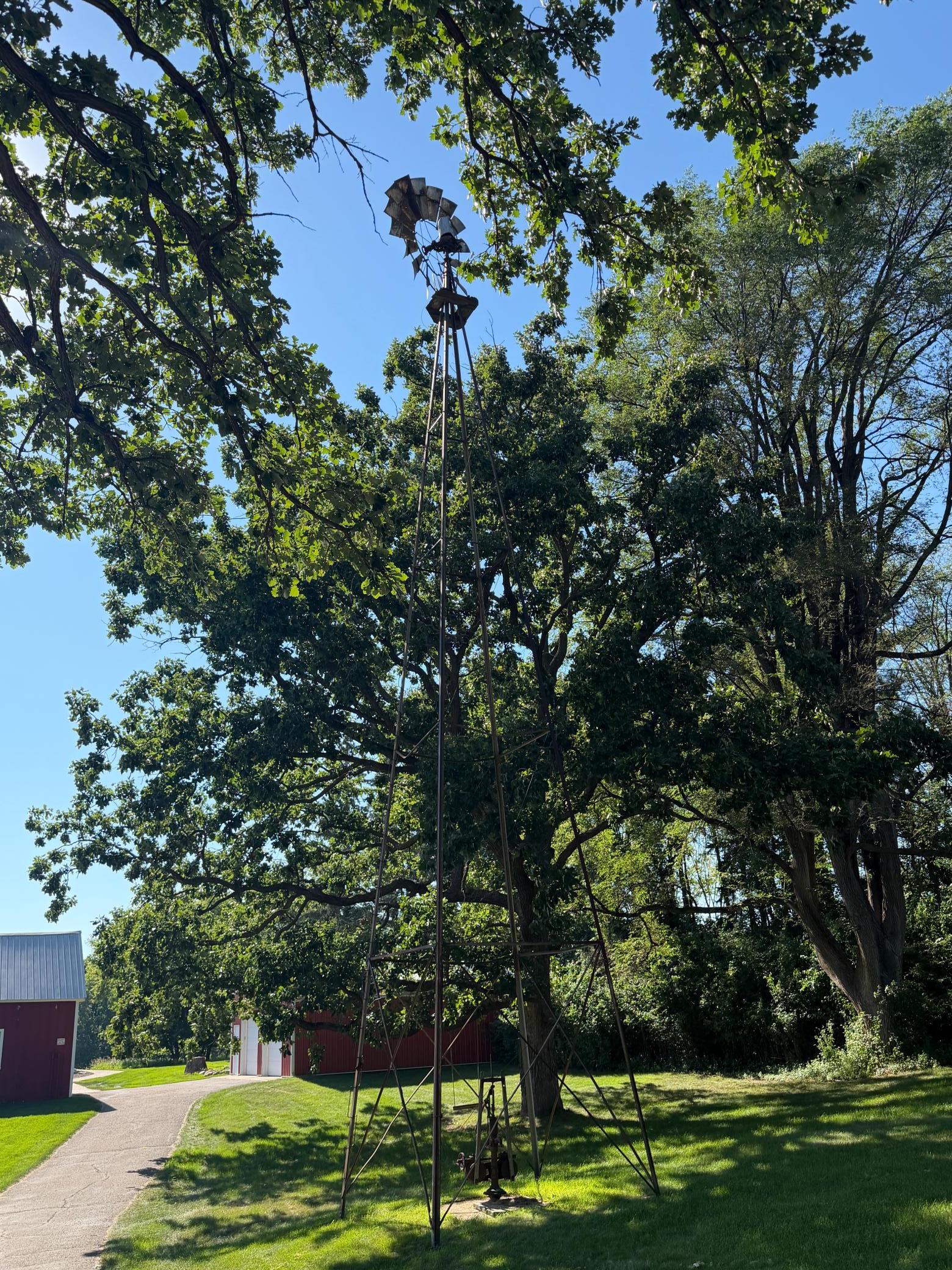 Photo 16