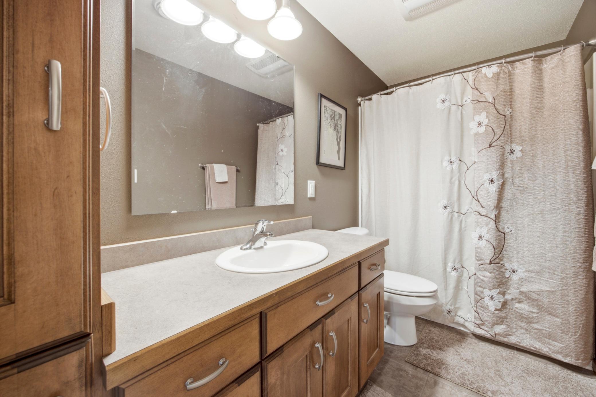 lower bathroom