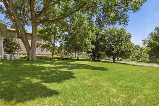 717 Forest Street, Kenyon, MN 55946