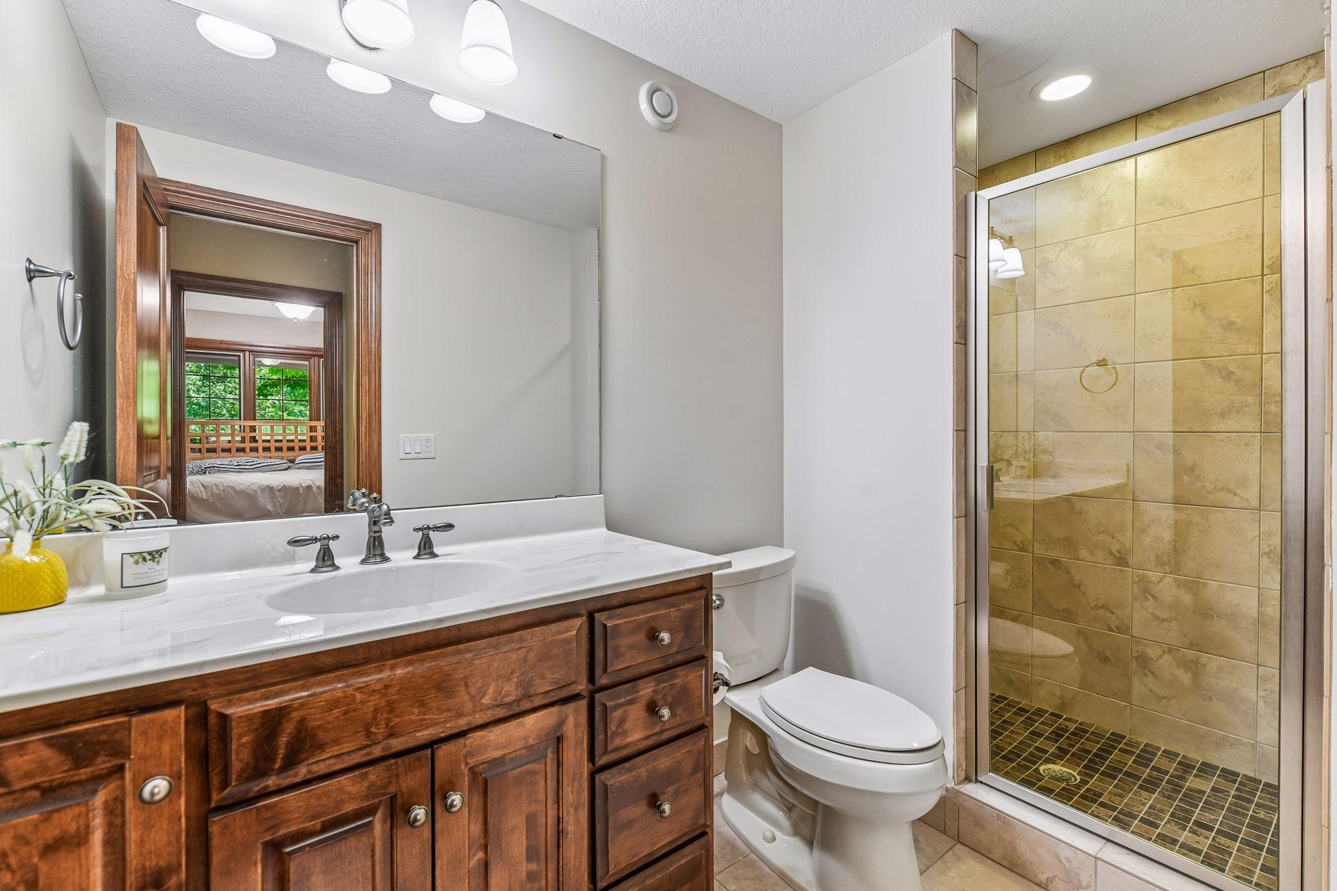 Lower Level 3/4 Bathroom