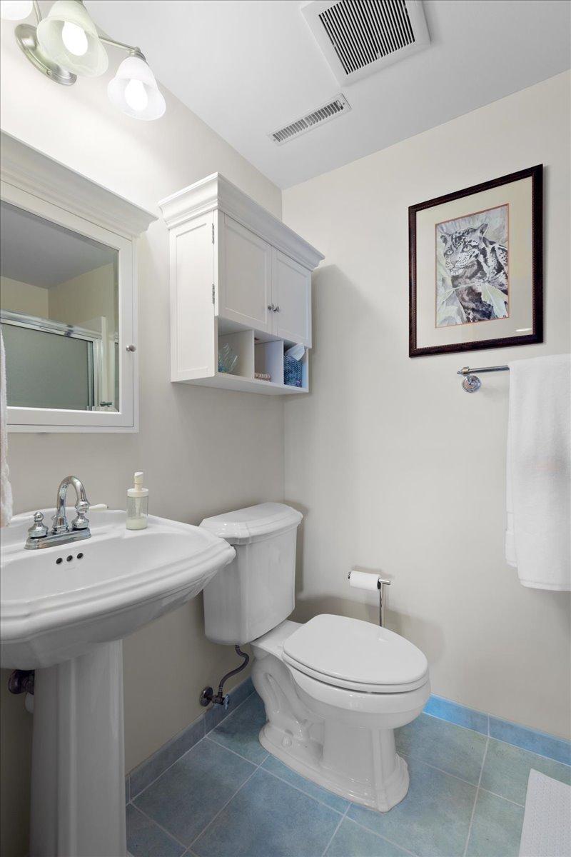 Lower Level full Bathroom.
