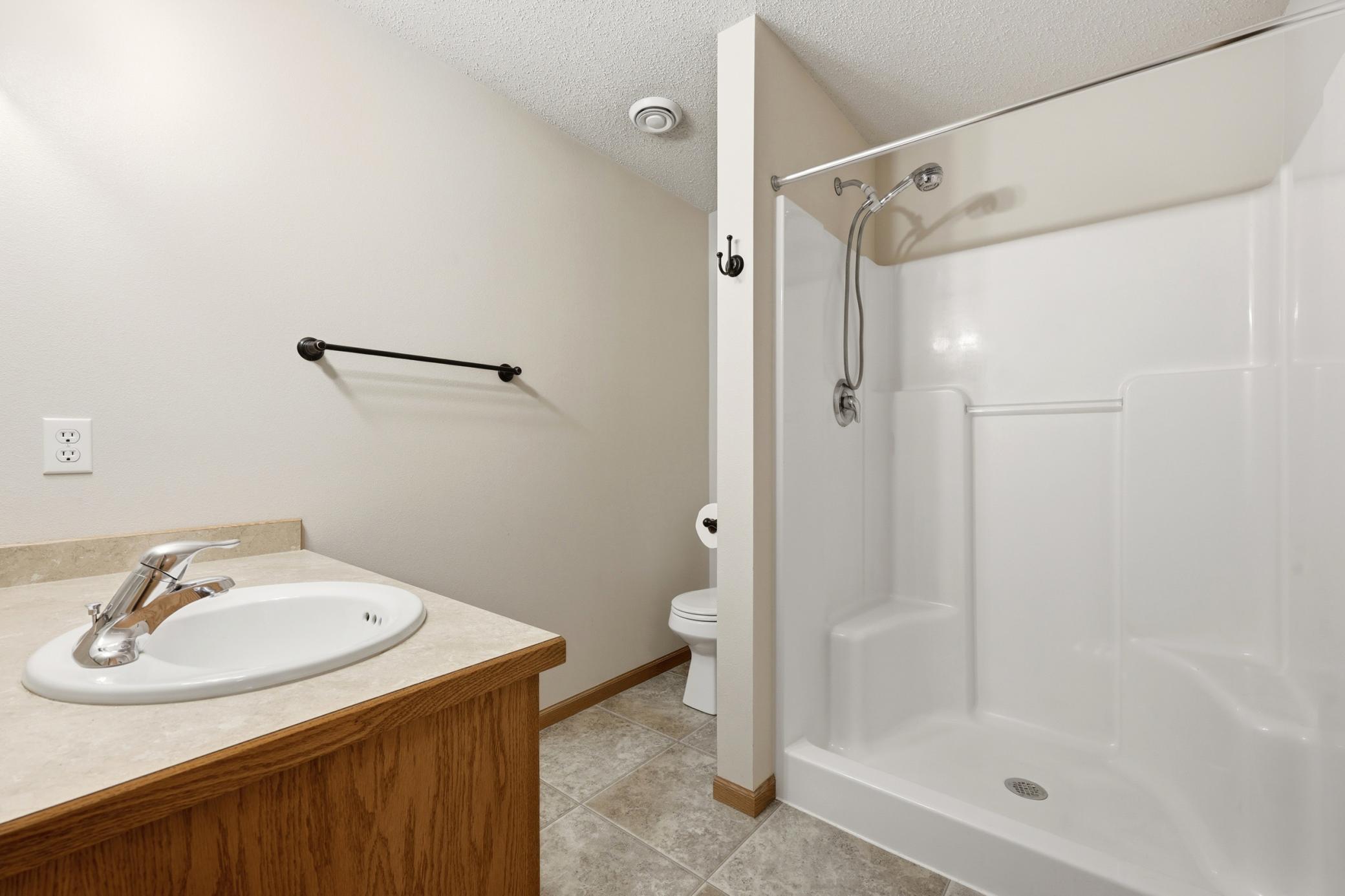 Lower Level Bathroom Shower