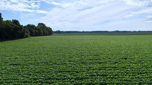 TBD County Road 7, Saint Cloud, MN 56301
