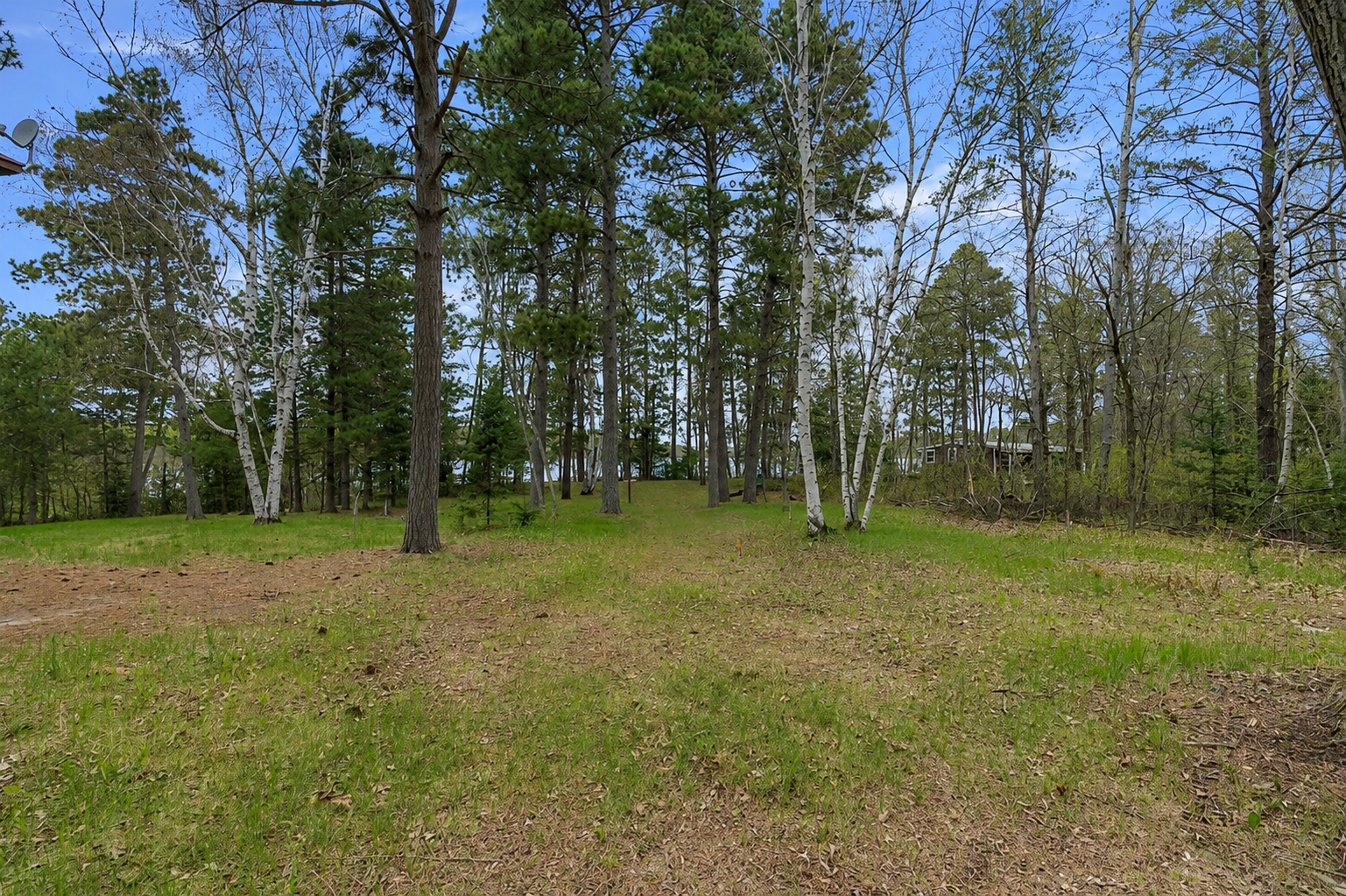 ground photo.png
