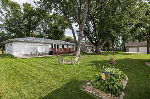 web_back yard 3.jpg
