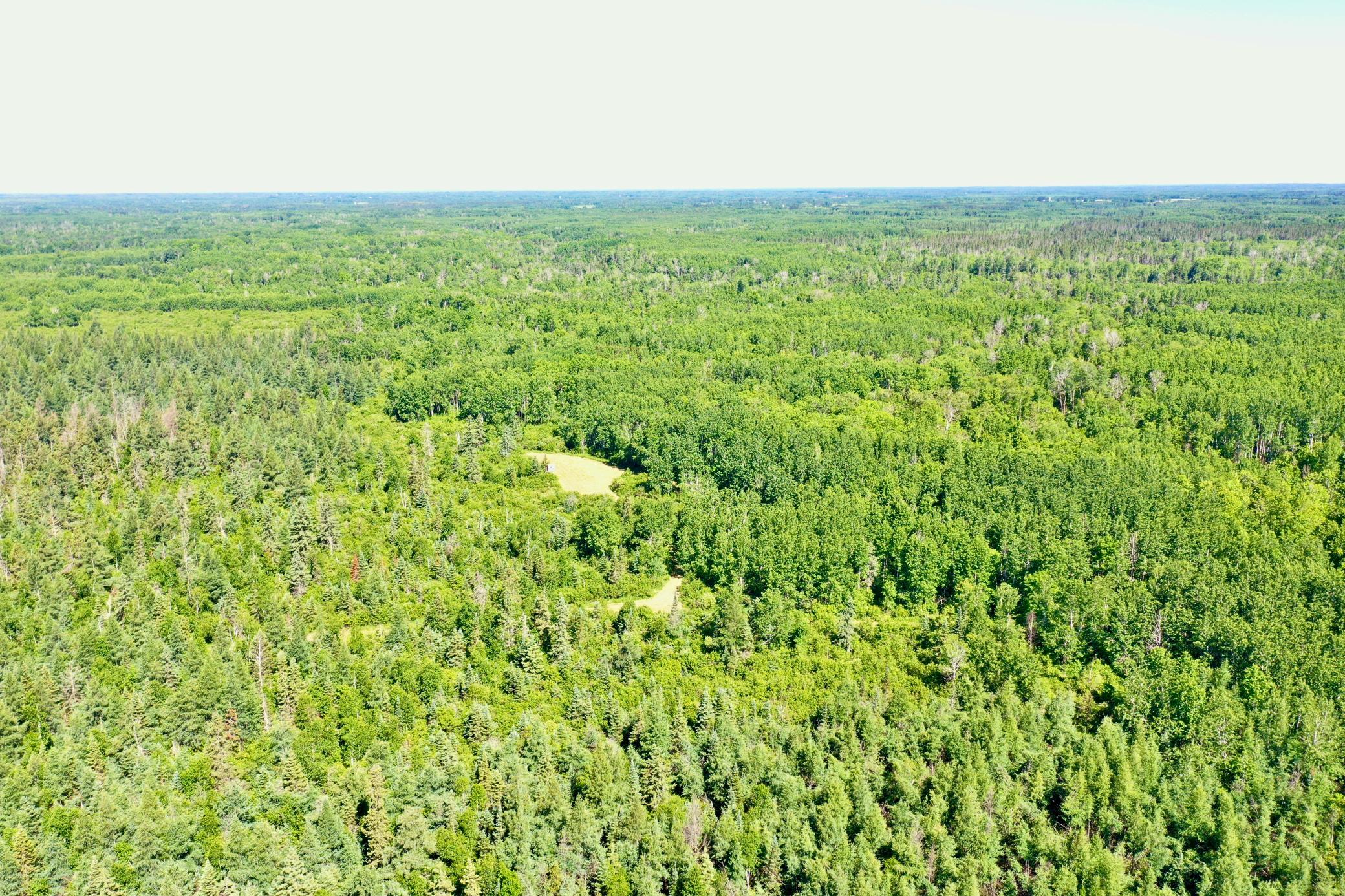 DJI_0225.JPG