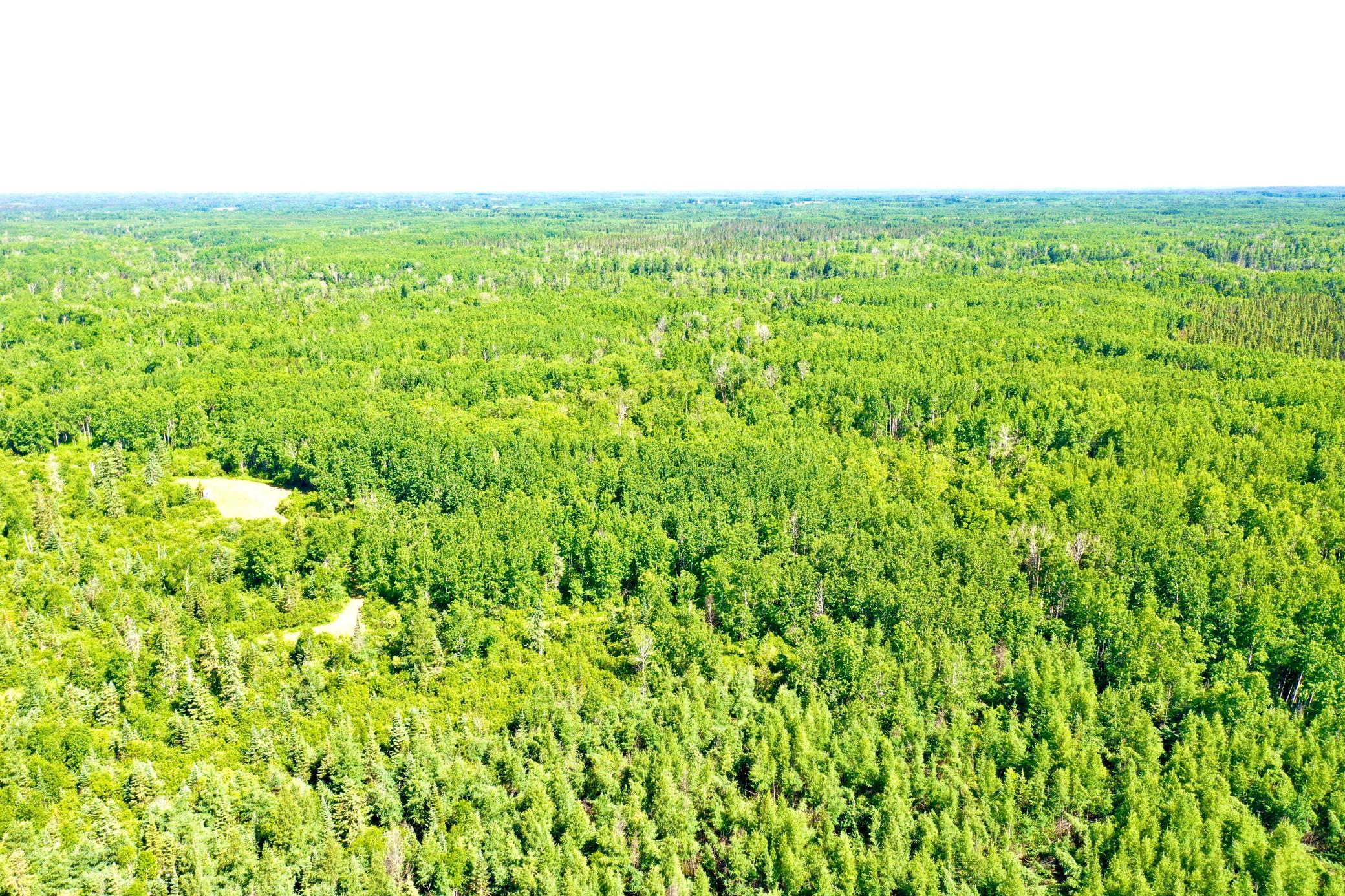 DJI_0226.JPG