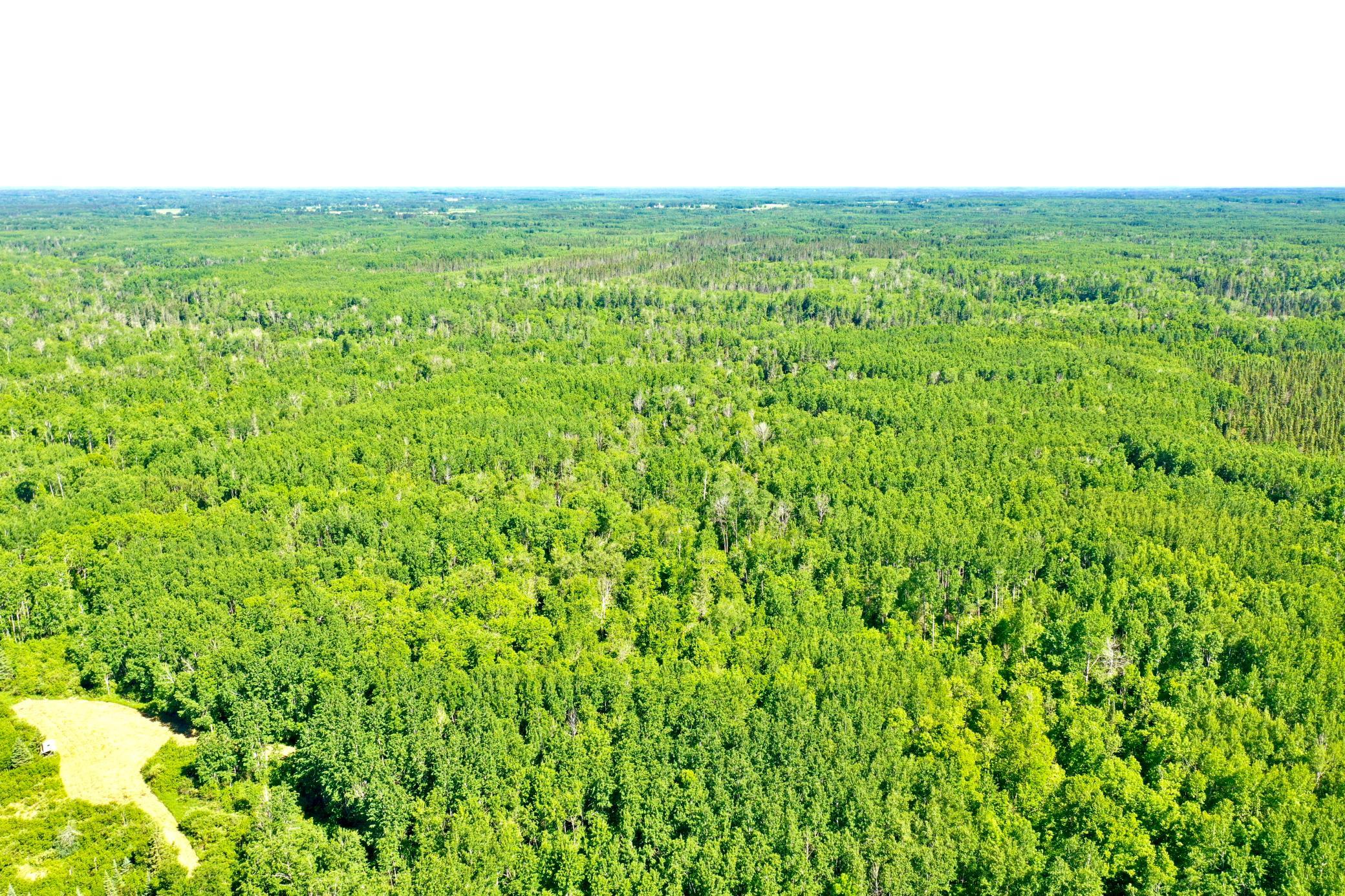 DJI_0227.JPG