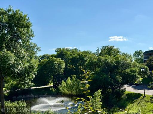 View from Deck