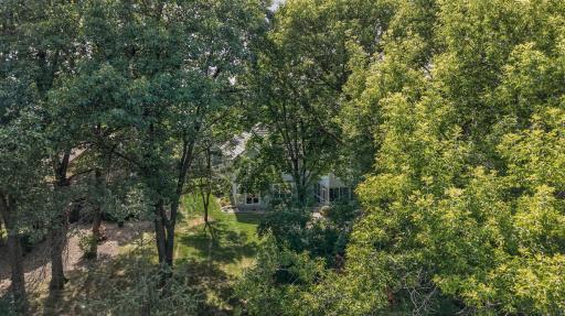 Towering mature trees create a private backyard retreat that feels worlds away from the everyday.