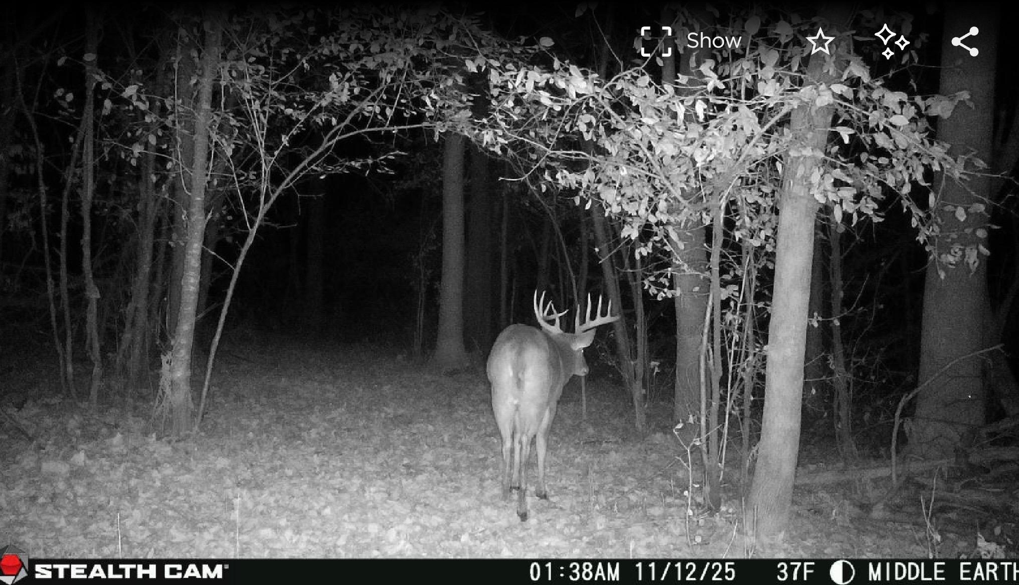 Prime hunting