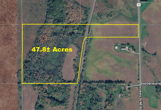 40xxx Vickers Street NE, Braham, MN 55080