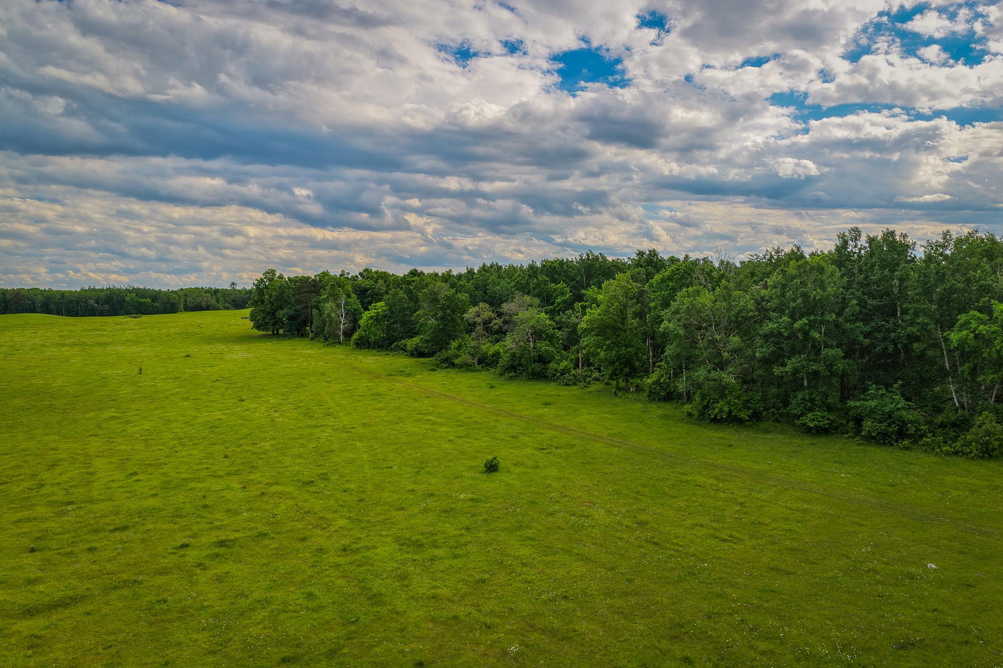 AW_ShevlinAcreage-