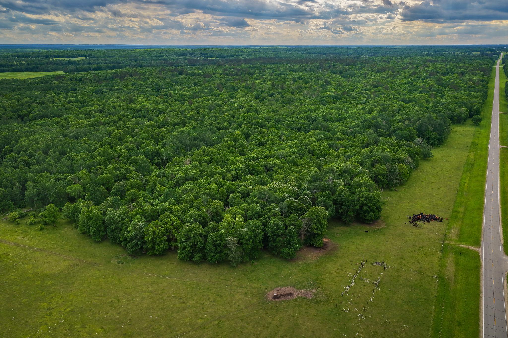 AW_ShevlinAcreage-