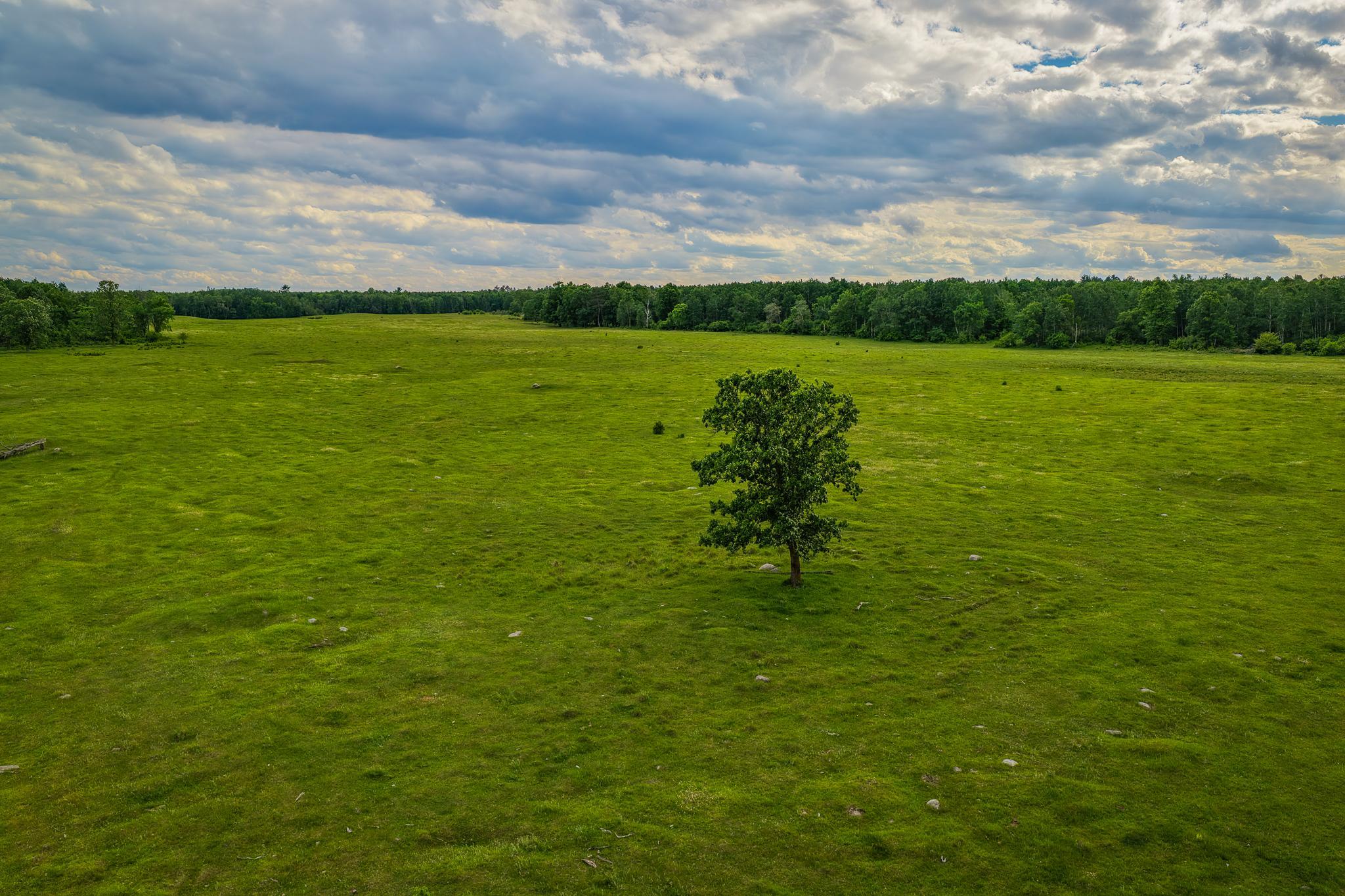 AW_ShevlinAcreage-