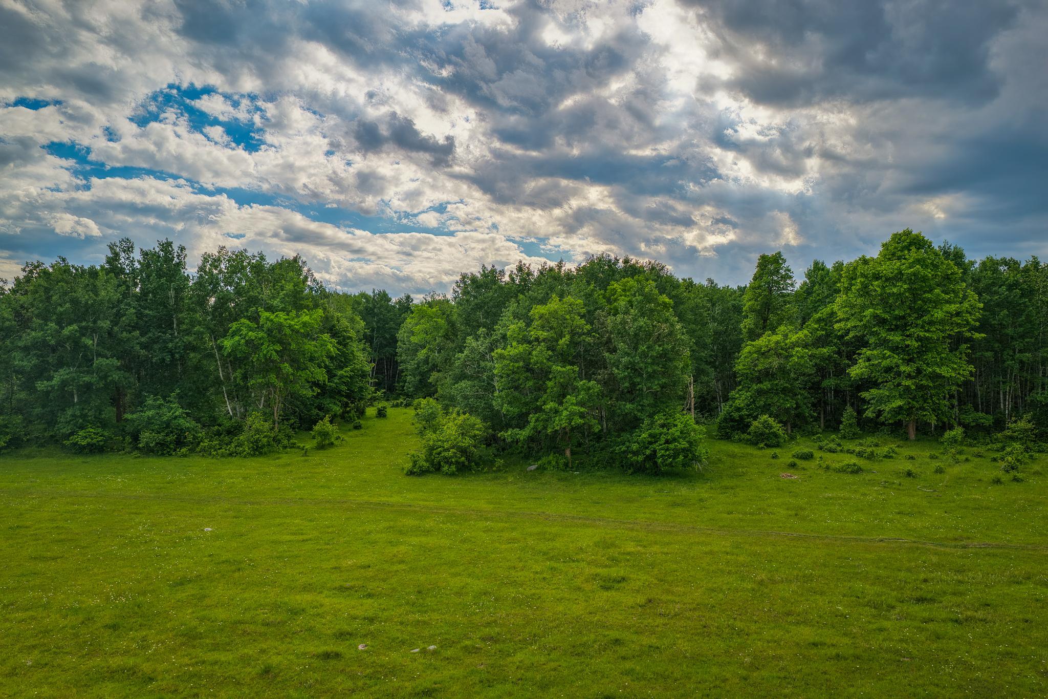 AW_ShevlinAcreage-