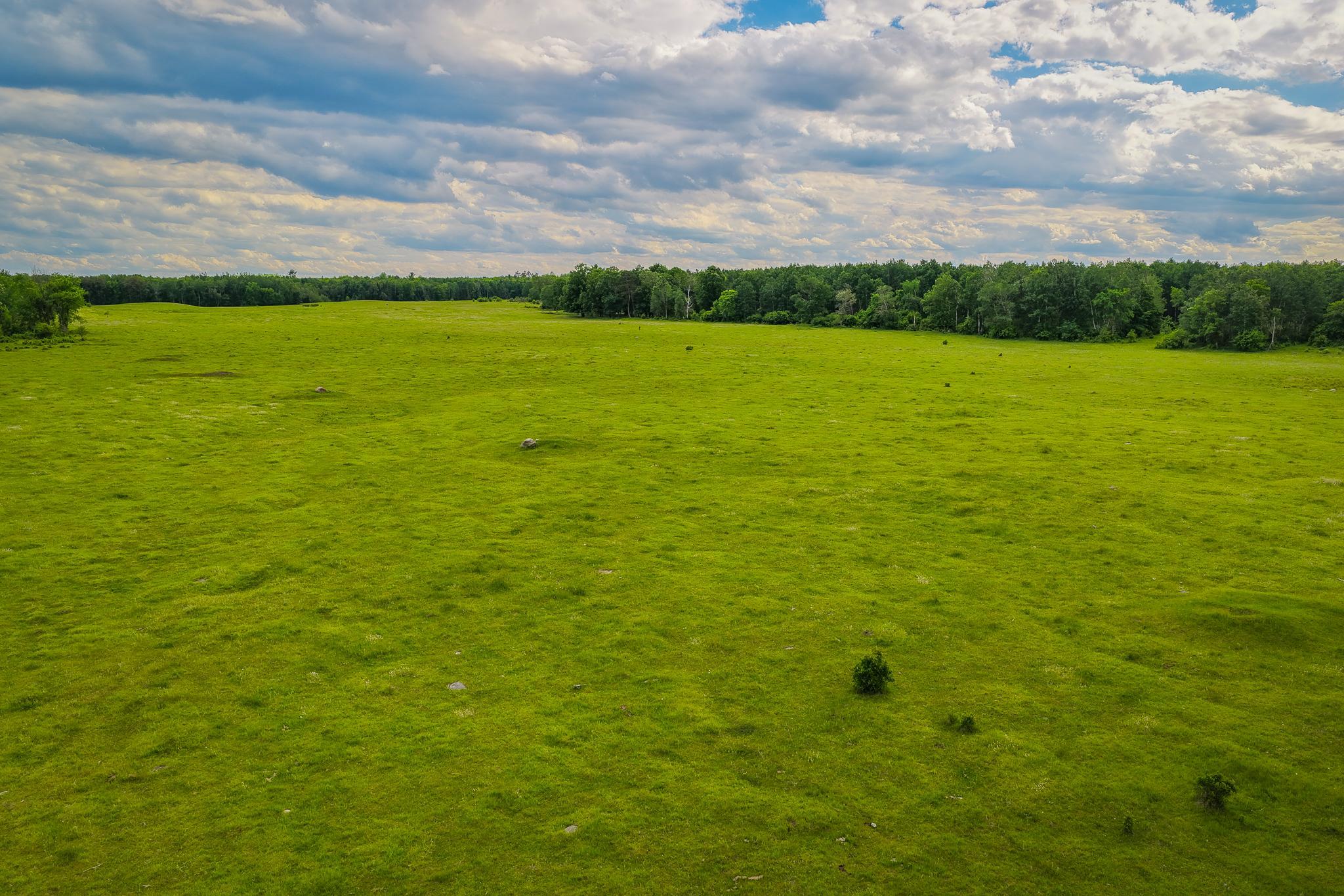 AW_ShevlinAcreage-
