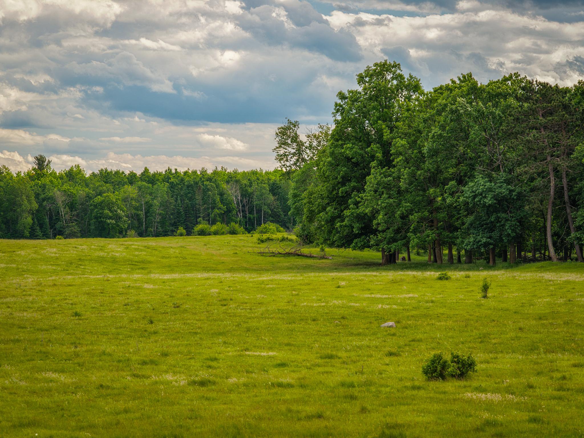AW_ShevlinAcreage-