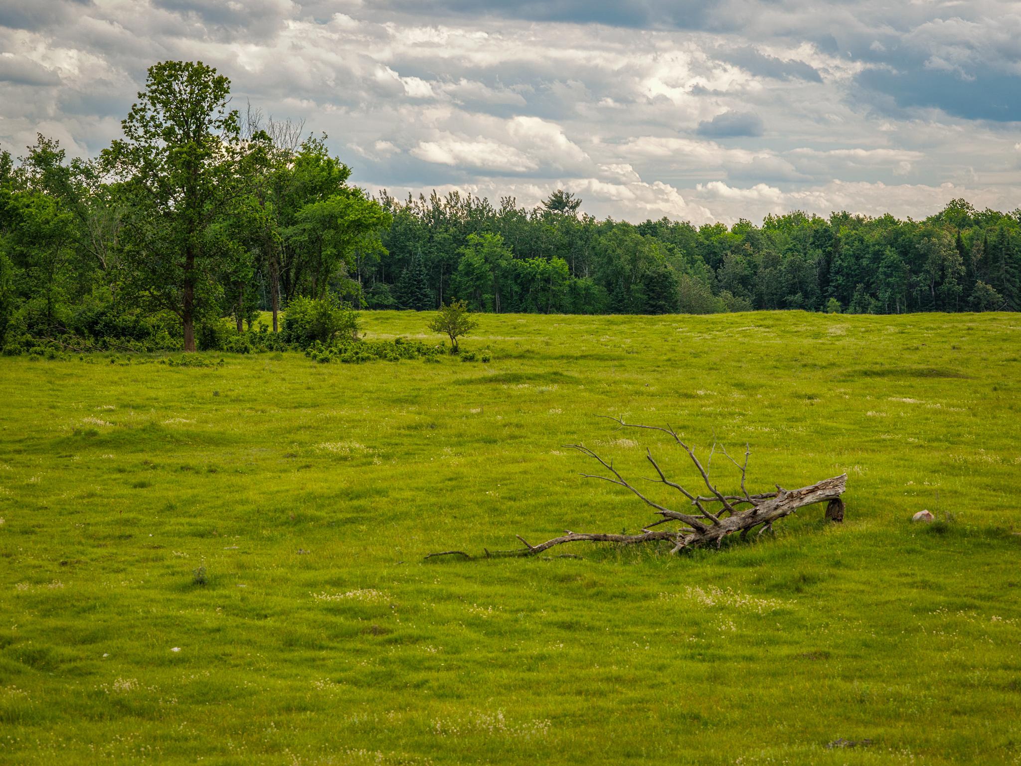 AW_ShevlinAcreage-