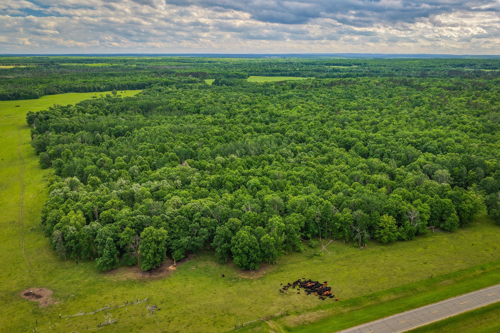 AW_ShevlinAcreage-