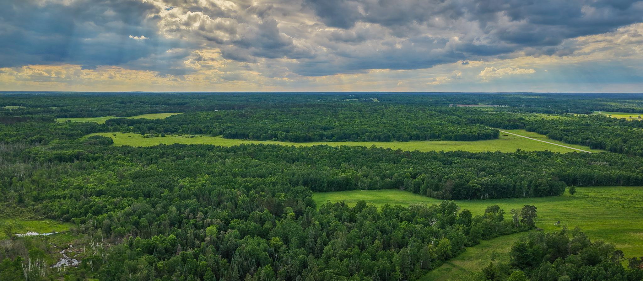 AW_ShevlinAcreage-