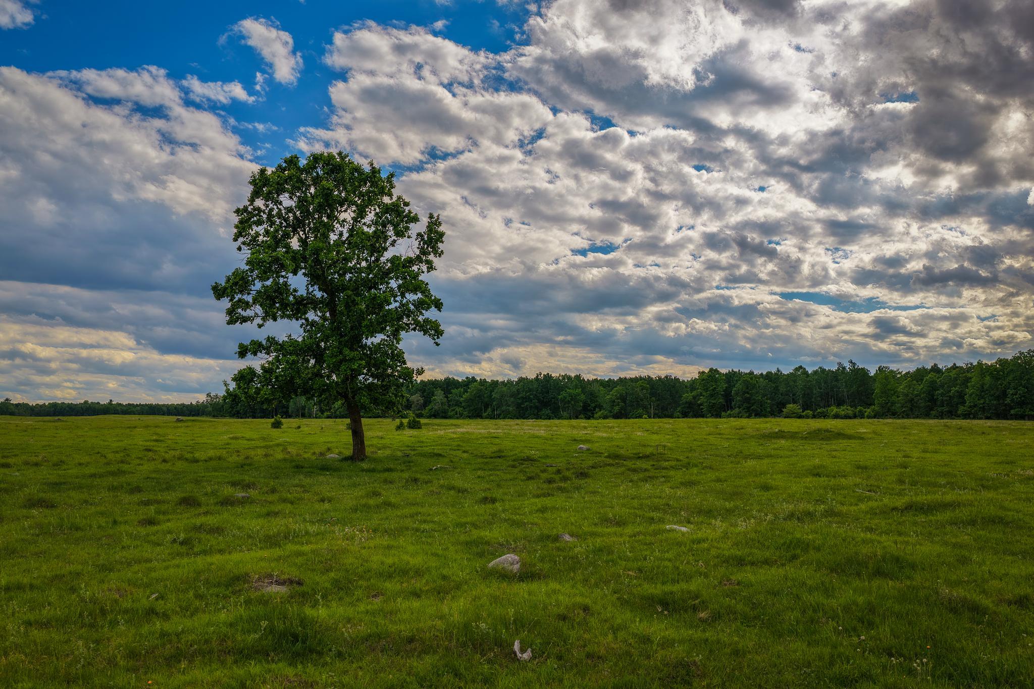AW_ShevlinAcreage-
