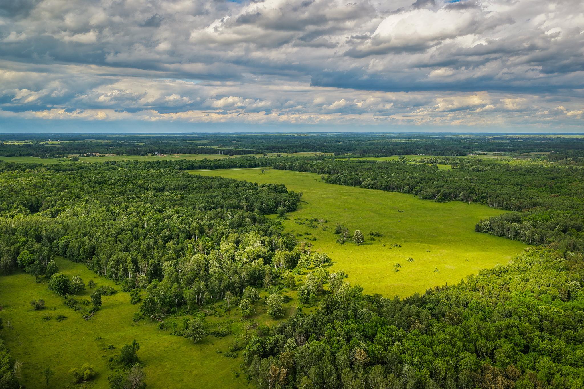 AW_ShevlinAcreage-