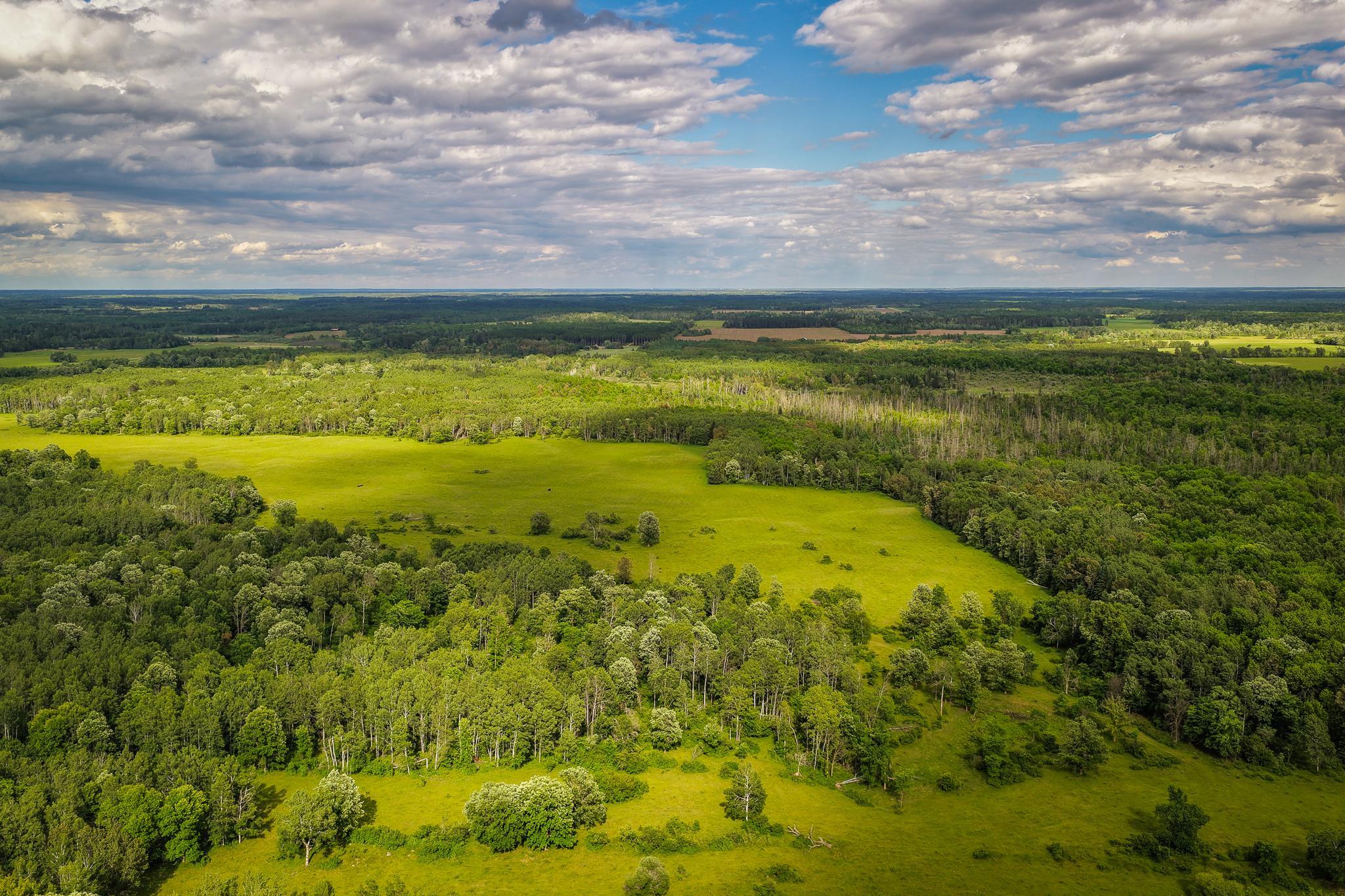 AW_ShevlinAcreage-